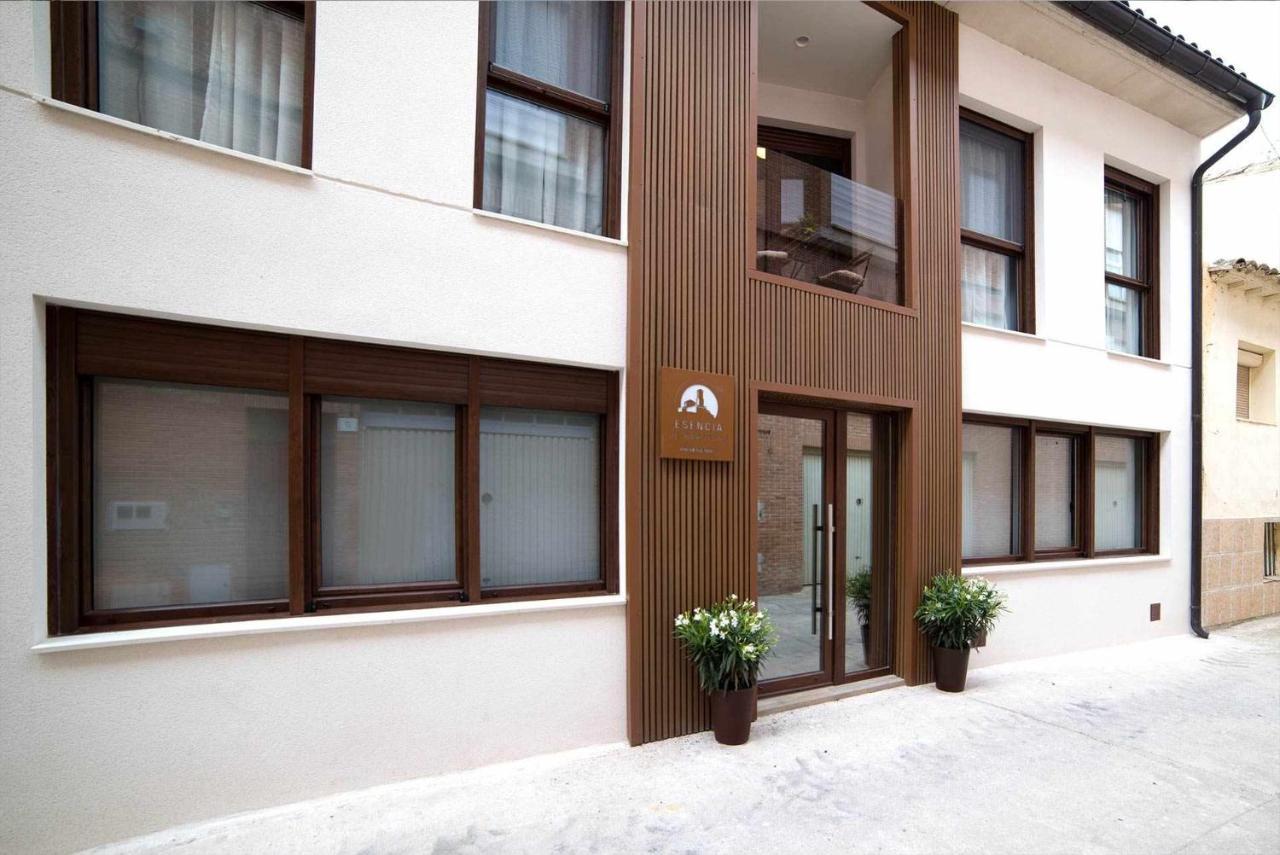 Apto Rural Alesves Esencia De Bardenas Navarra Appartement
